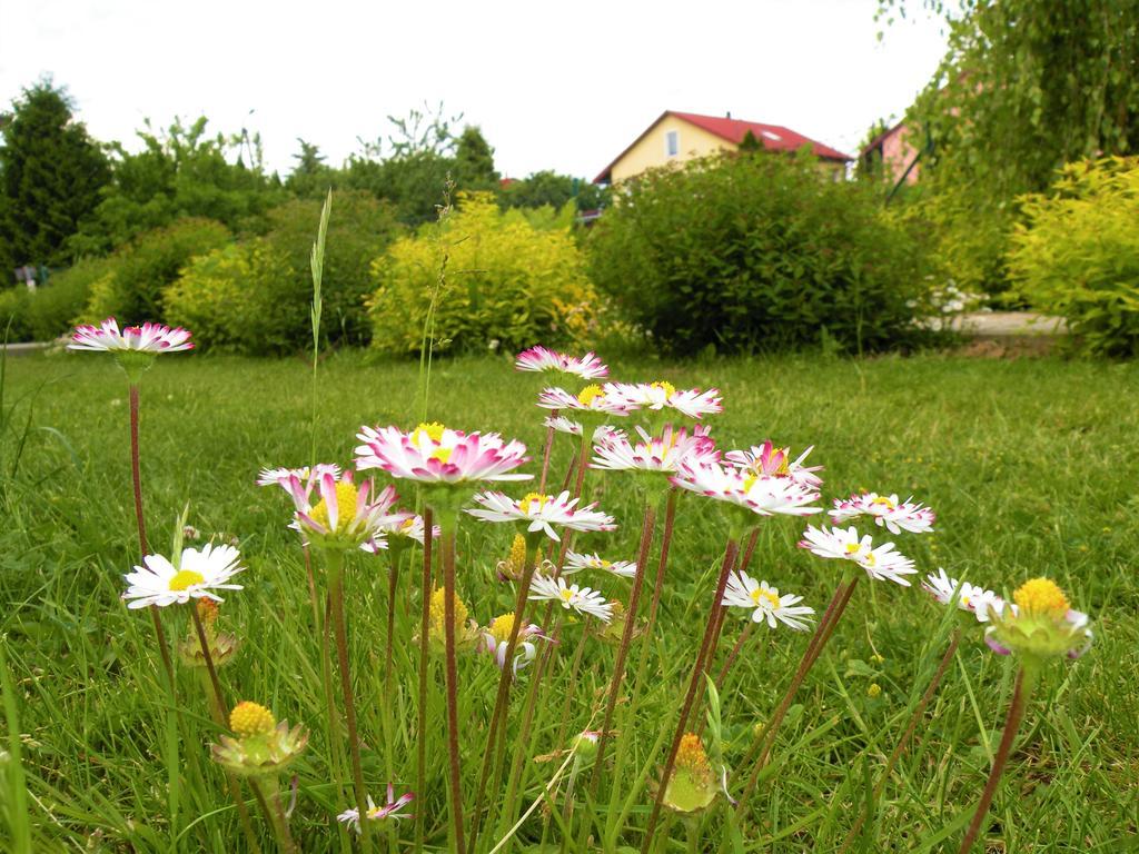 Pokoje Zabi Staw Mikołajki Esterno foto