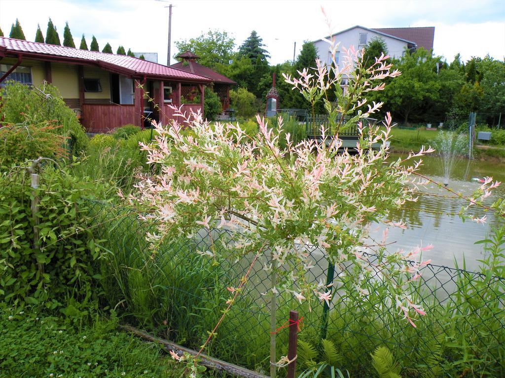 Pokoje Zabi Staw Mikołajki Esterno foto